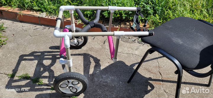 Инвалидная коляска для собак