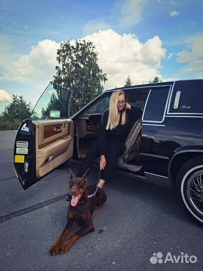 Аренда ретро авто Кадиллак Эльдорадо 1984