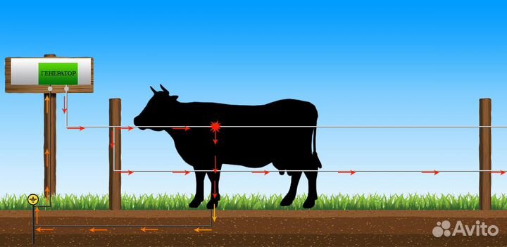 Электропастух (изолирующая электро-изгородь)