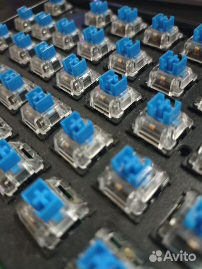 Синие свитчи 