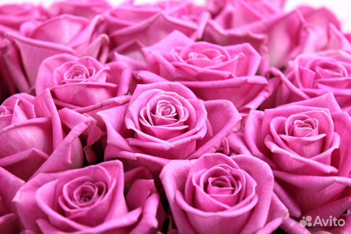 Срочная доставка цветов