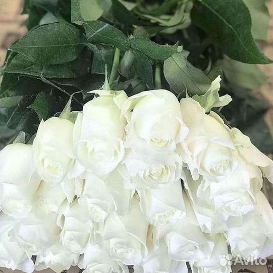 Высокие розы Букеты с доставкой