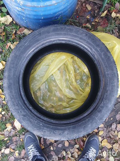 Dunlop SP Sport Maxx GT 245/50 R18 100