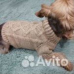 Одежда для собак