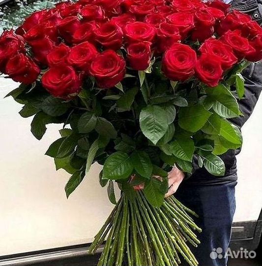 Розы гиганты 140 150 160 170 180 200