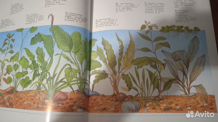 Аквариумистика книга