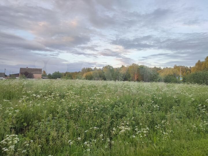 Участок 10,5 сот. (ИЖС)