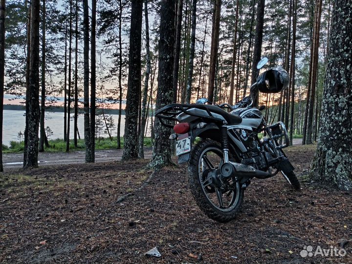 Продам альфа рх 110