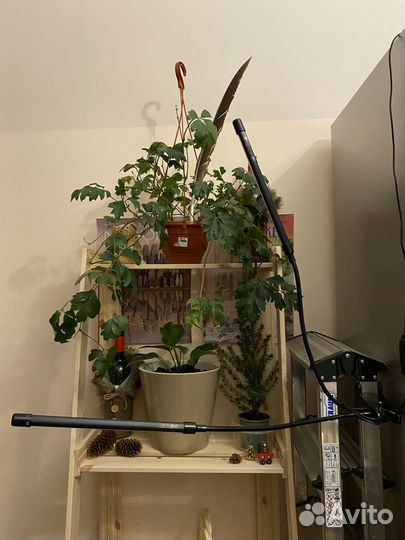 Фитолампа на прищепке