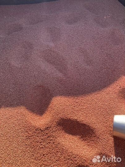 Семена озимой пшеницы