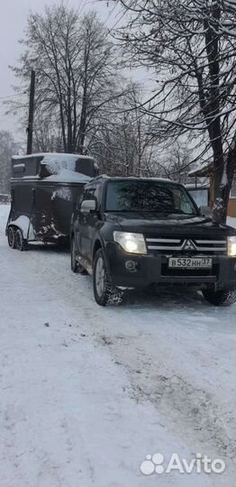 Перевозка лошадей, коневоз