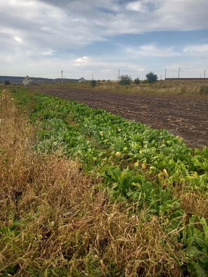 Участок 15 сот. (ИЖС)