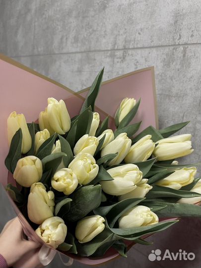 Тюльпаны к 8 марта