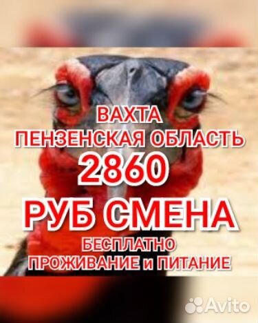 Рабочий вахта Пенза 2860 смена жилье еда