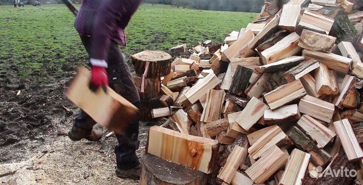 Дрова сухие