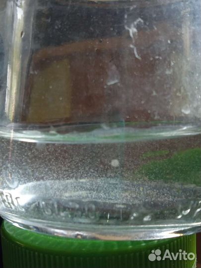 Инфузория для мальков