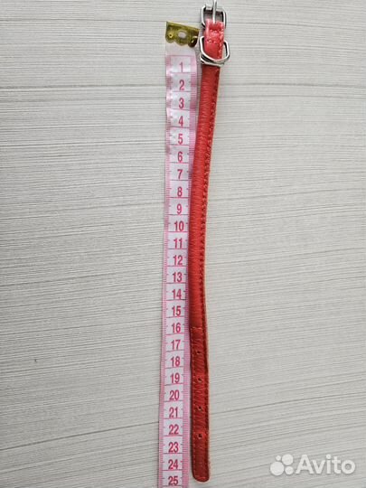 Ошейник для маленькой собаки