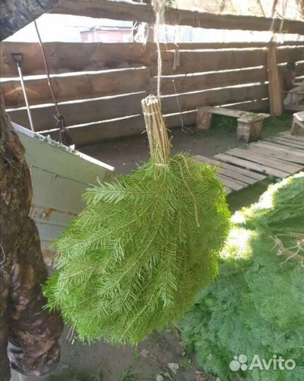 Веники для бани