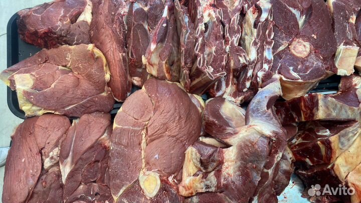 Мясо говядина