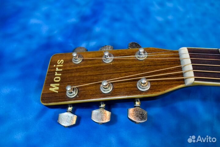 Акустическая гитара Morris MD-515. Japan