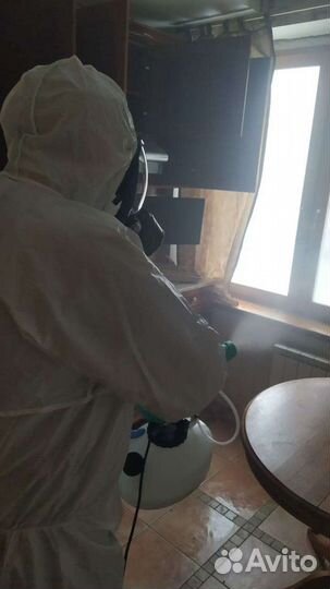 Уничтожение клопов, тараканов. Дезинфекция