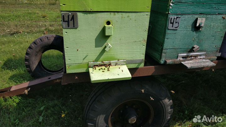 Тамбовский мёд 2023 и продукты пчеловодства