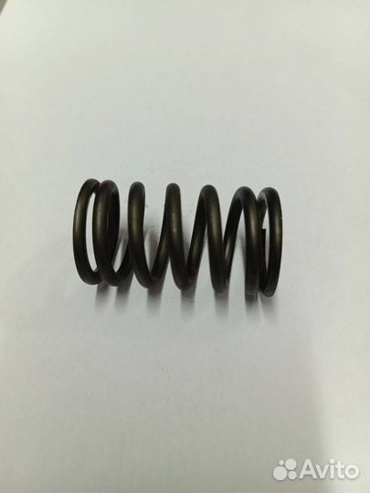 Пружина клапана Renault Logan L8 (2004 - 2009)