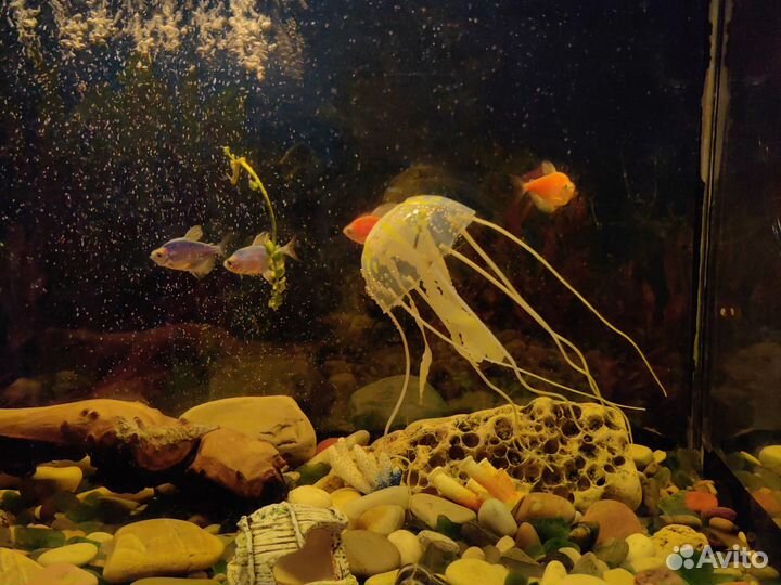 Аквариум с рыбками