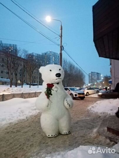 Надувные Мишки поздравление