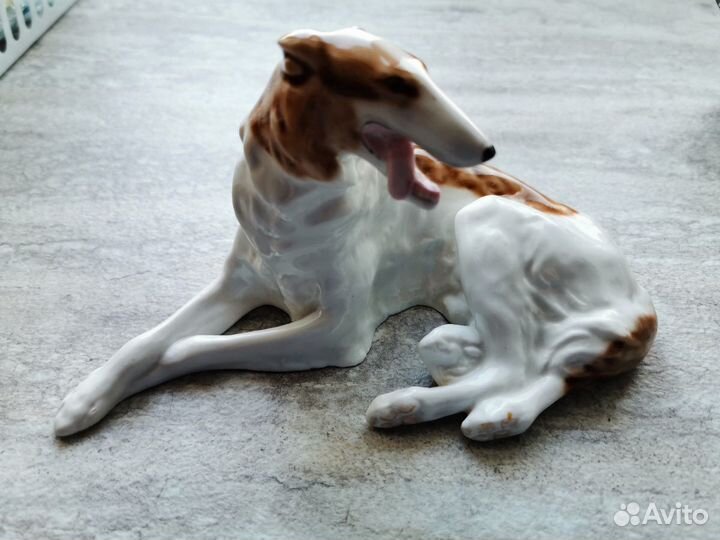 Русская борзая лфз