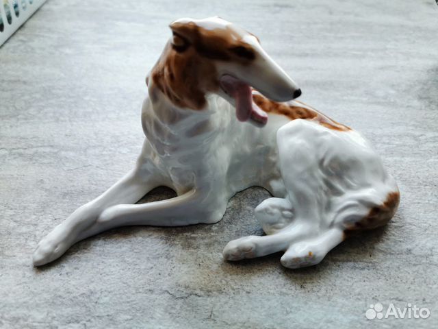 Русская борзая лфз