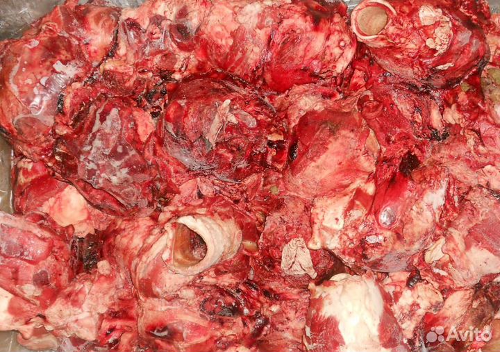 Корм для собак говяжий (рубец, обрезь, мясо) и др