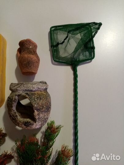 Креветки жёлтые, Теодоксусы