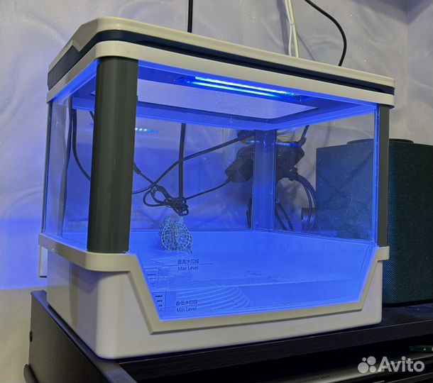 Черепашатник Barbus