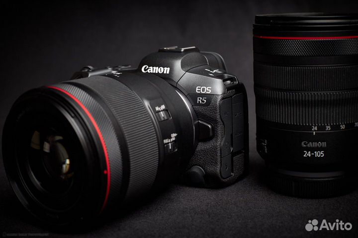 Фотоаппарат Canon EOS R5 Body