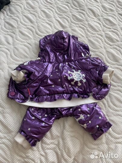 Одежда для маленьких собак