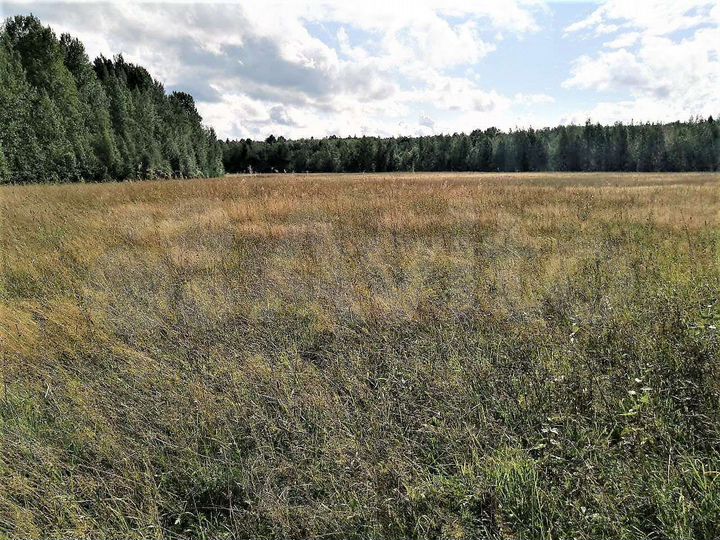 Участок 2,18 га (СНТ, ДНП)