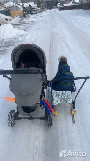 Коляска 2 в 1 carrello vista