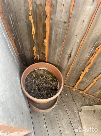 Горшок для цветов