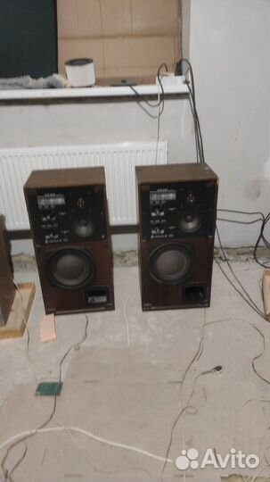 Колонки радиотехника 35ас1