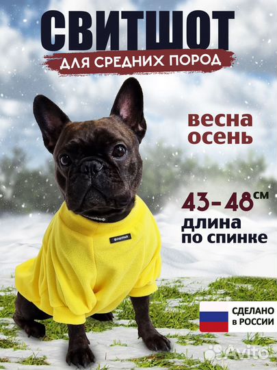 Свитшот для собак средних пород. Размер 40