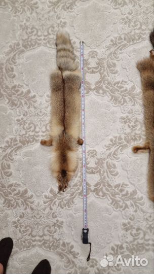 Шкура рыжей лисы