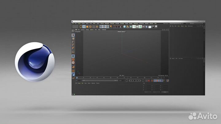 Cinema 4D Срок действия программы бессрочно