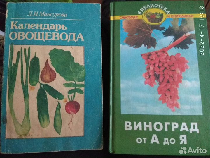 Переработка и хранение овощей, кулинарные рецепты