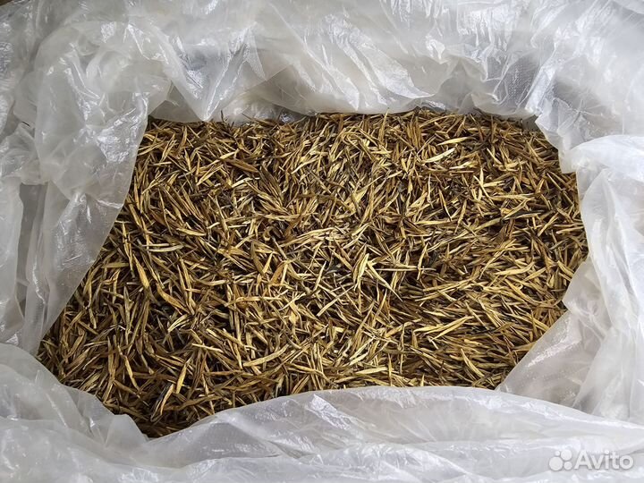 Китайский чай Да Цзинь Чжень Большие золотые иглы