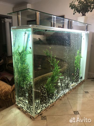 Аквариум