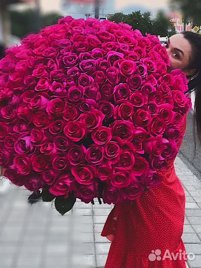 101 51 голландия роза