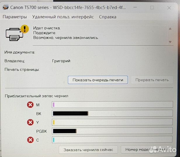 Принтер струйный canon TS 704