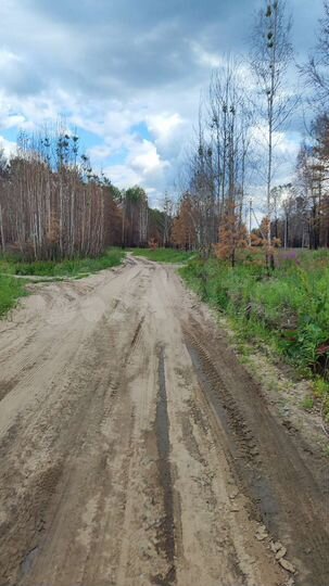 Участок 1,11 га (СНТ, ДНП)