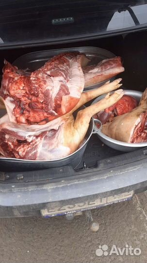 Мясо свинина домашняя